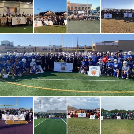 Governance and board work